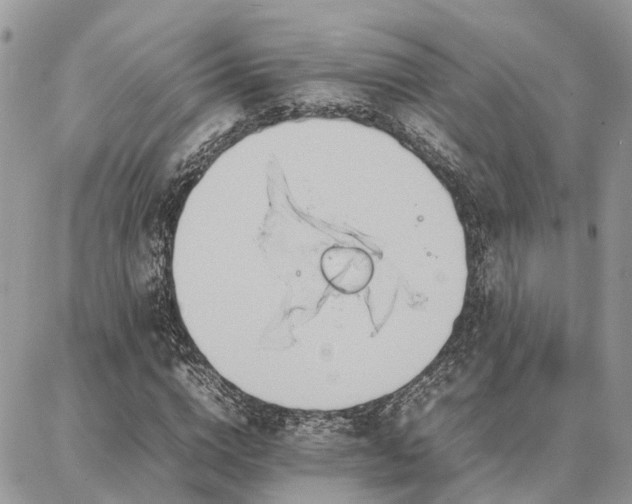 X0000086790824200704131238