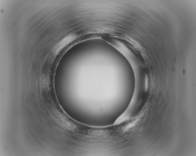 X0000086790826200704131238