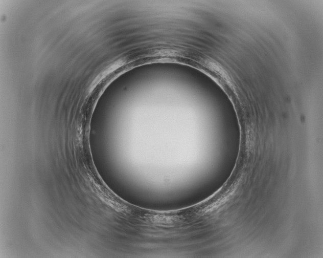 X0000086790827200704131238