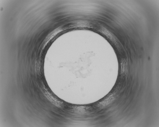 X0000086790828200704131238