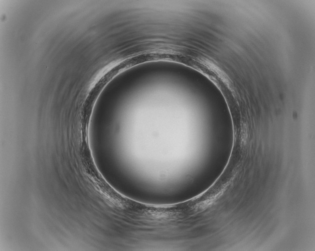 X0000086790829200704131238