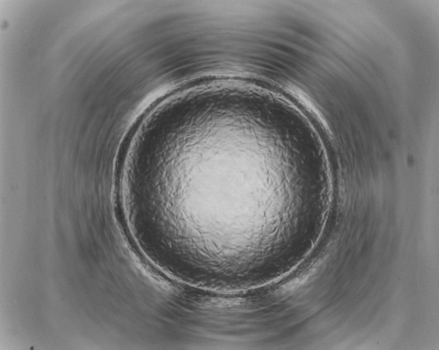 X0000086790845200704131238