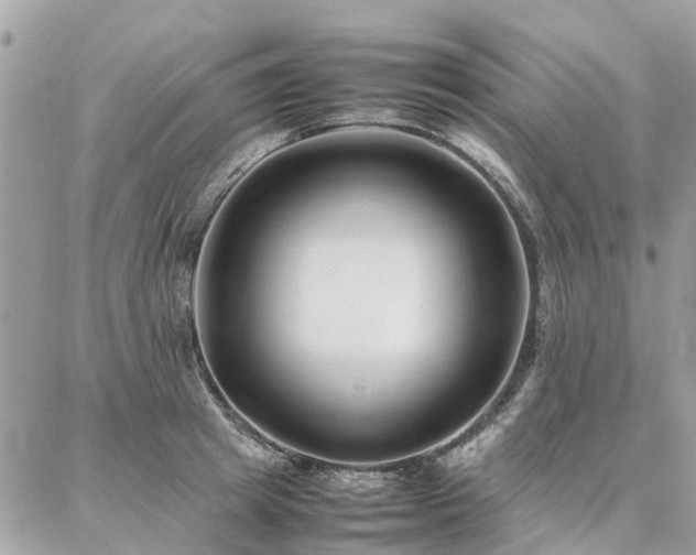 X0000086790849200704131238