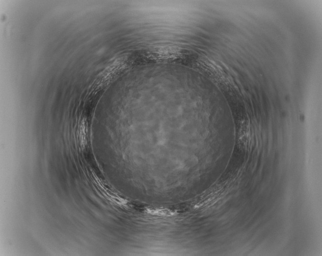 X0000086790866200704131237
