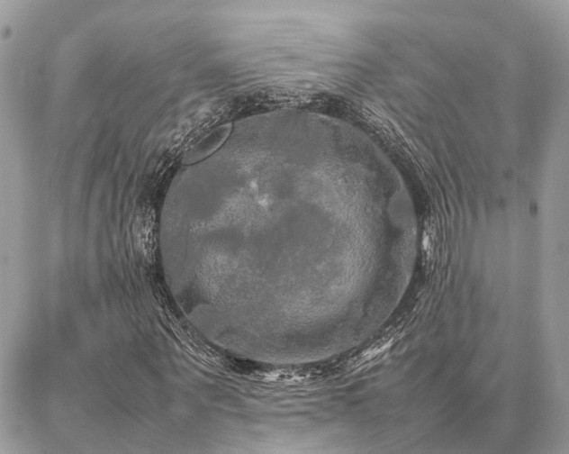 X0000086790867200704131237