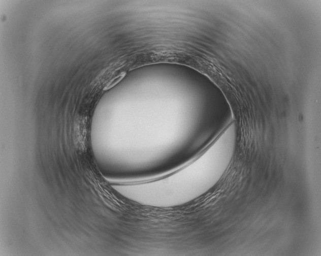 X0000086790868200704131237