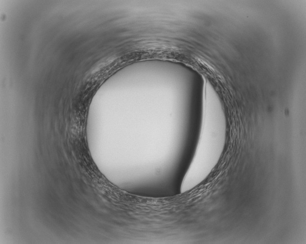 X0000086790869200704131237