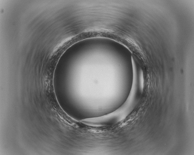 X0000086790872200704131237