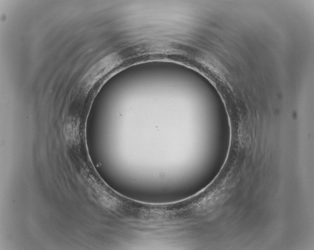 X0000086790873200704131237
