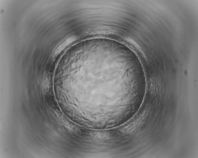 X0000086790874200704131237