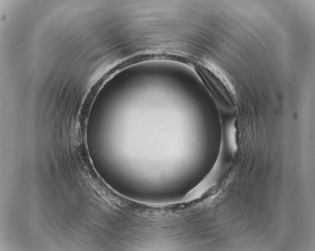 X0000086790876200704131237