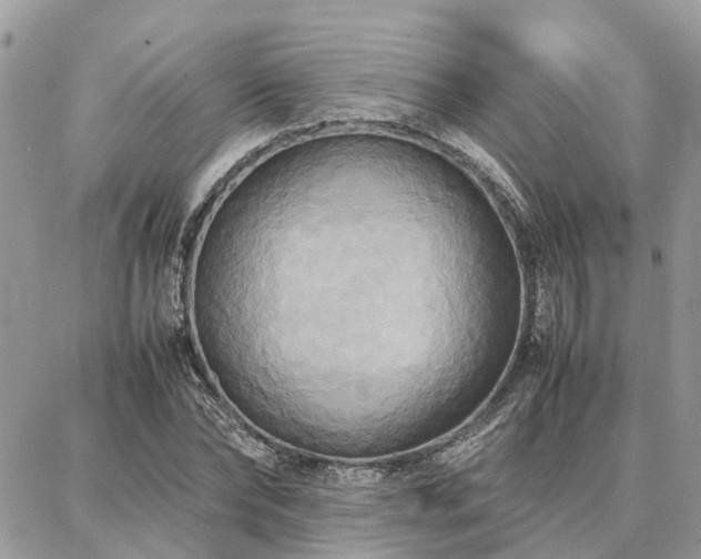 X0000086790878200704131237