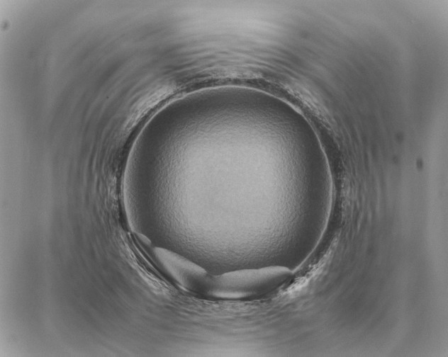 X0000086790881200704131237
