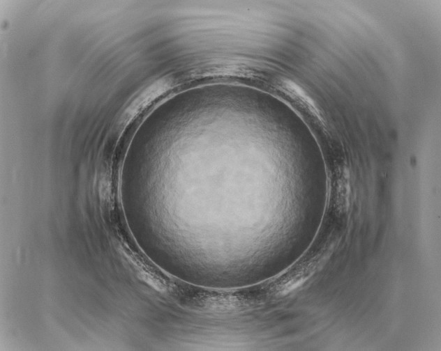 X0000086790882200704131237