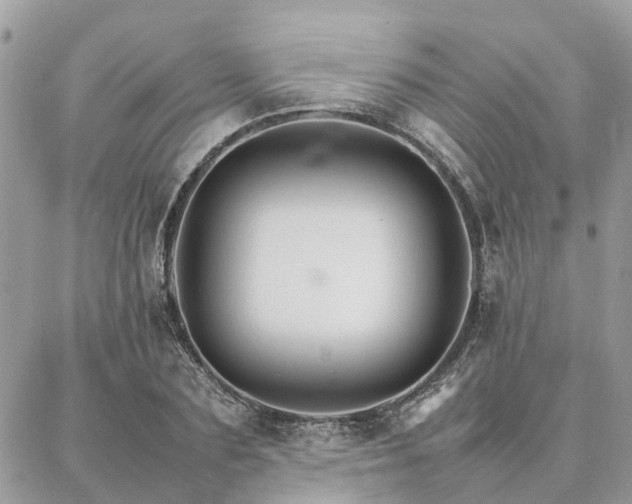 X0000086790883200704131237