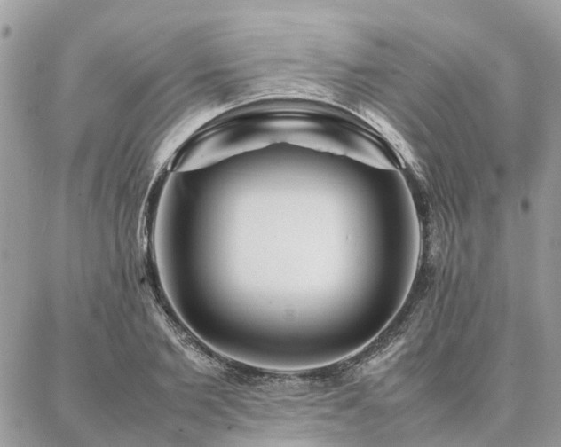 X0000086790885200704131237