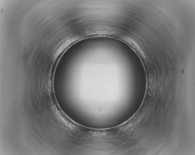 X0000086790890200704131237