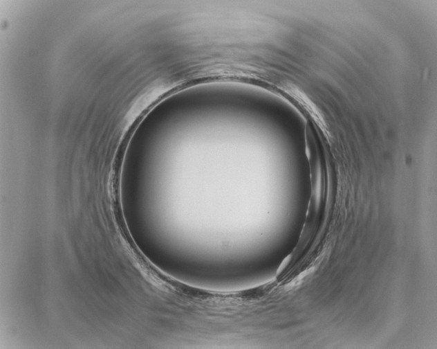 X0000086790893200704131237