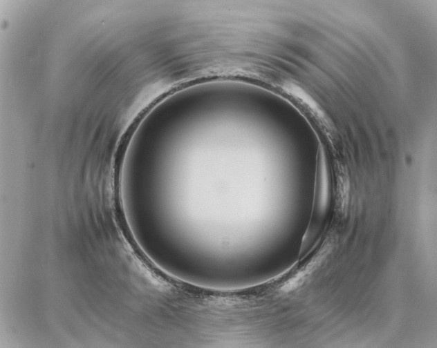X0000086790894200704131237