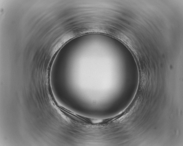 X0000086790898200704131237