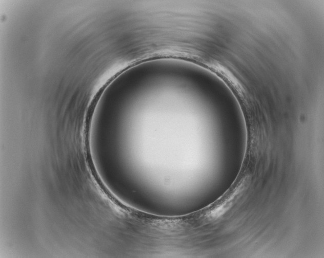 X0000086790902200704131237