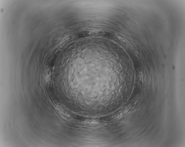 X0000086790914200704131236