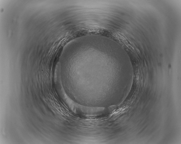 X0000086790916200704131236