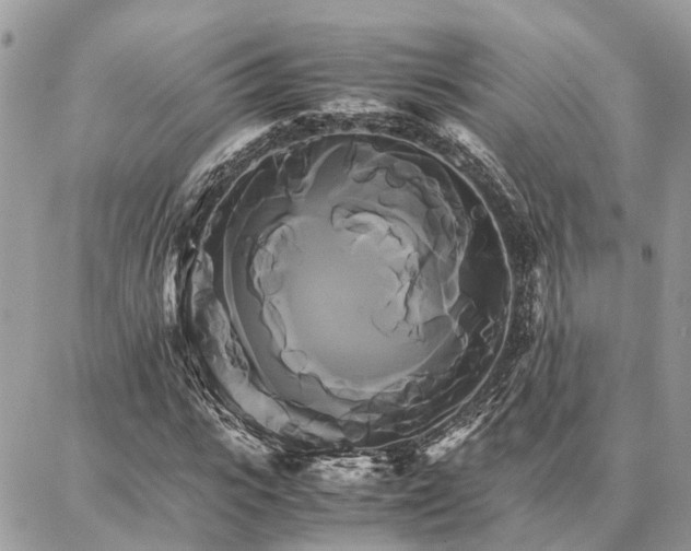 X0000086790919200704131236