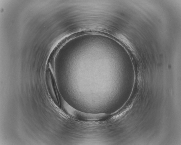 X0000086790924200704131236