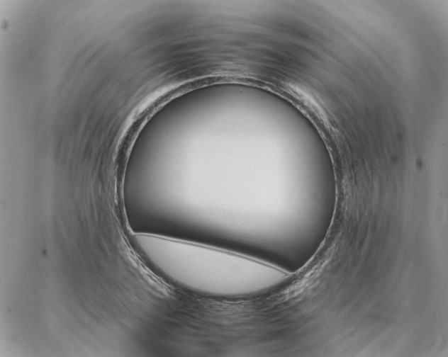X0000086790931200704131236