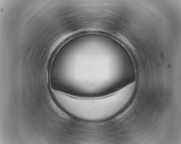 X0000086790934200704131236