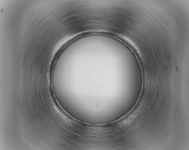X0000086790935200704131236
