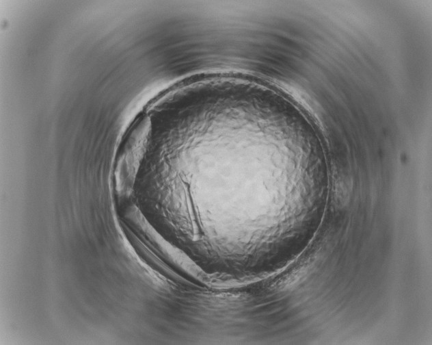 X0000086790943200704131236