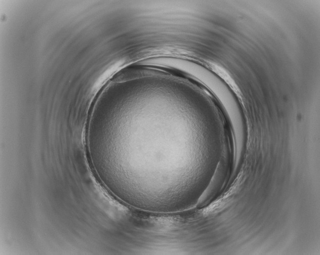 X0000086790946200704131236