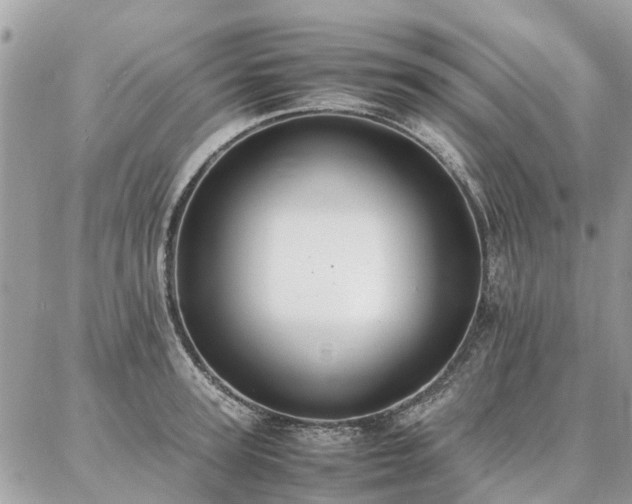 X0000086790947200704131236