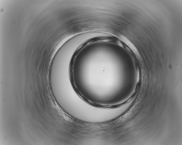 X0000086790956200704131237