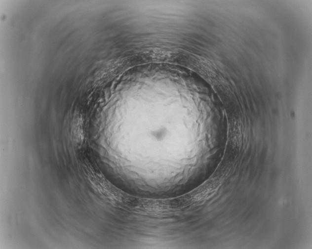 X0000086790962200704131236