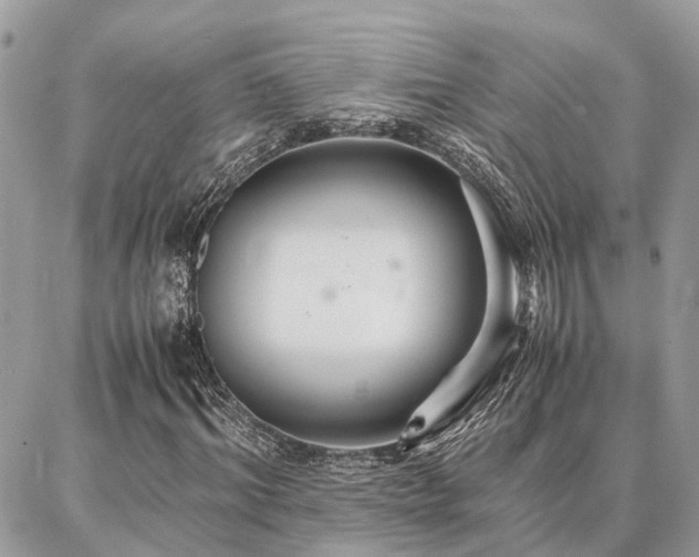 X0000086790964200704131236
