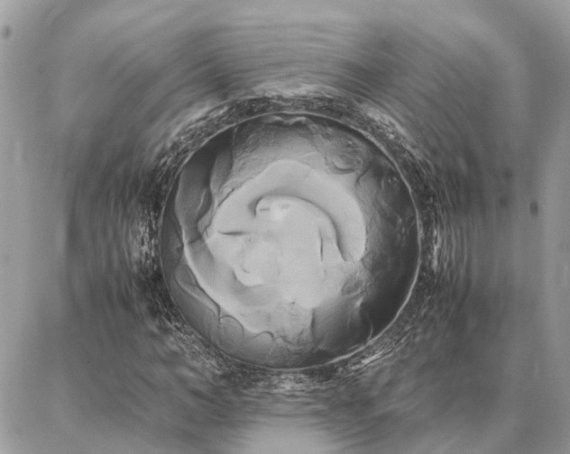 X0000086790966200704131236