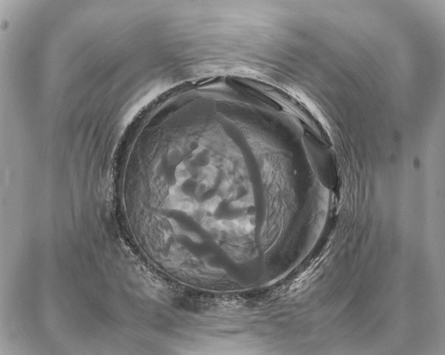 X0000086790975200704131236