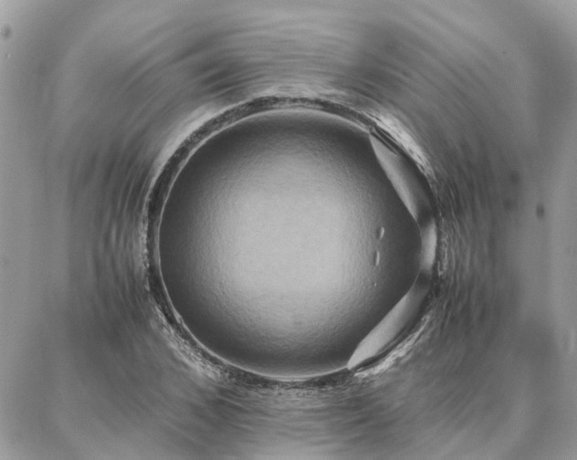 X0000086790976200704131236