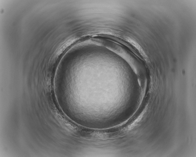 X0000086790977200704131236