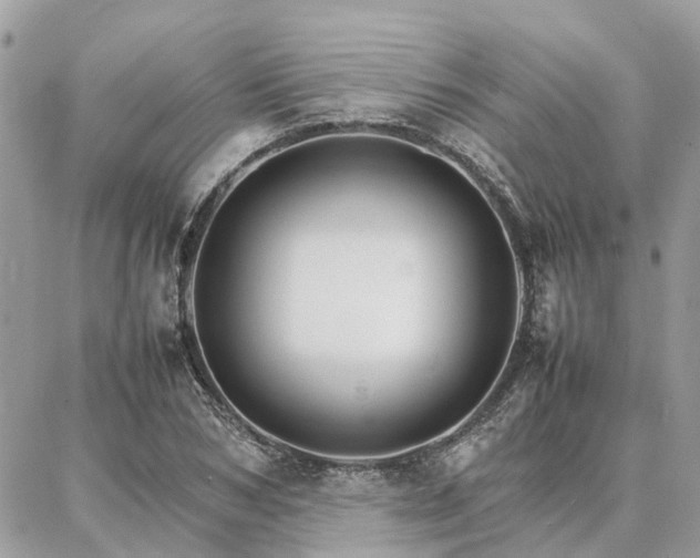 X0000086790978200704131236