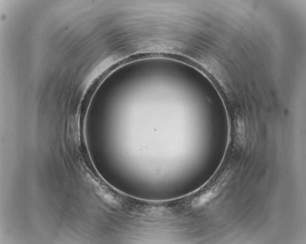 X0000086790982200704131235