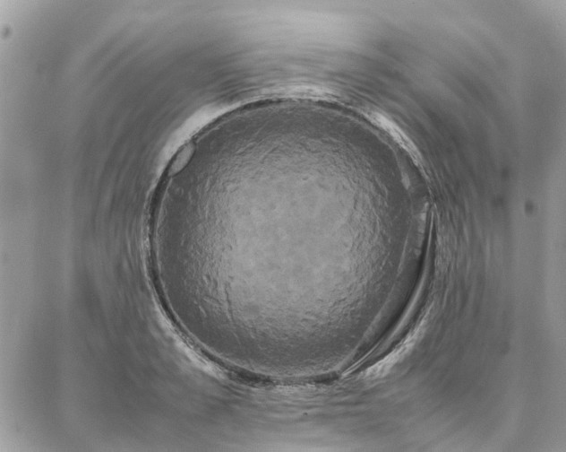X0000086790989200704131235