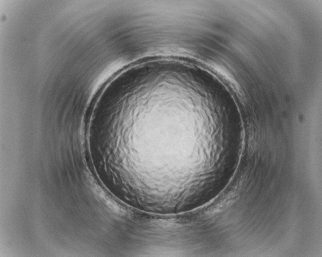 X0000086790990200704131235