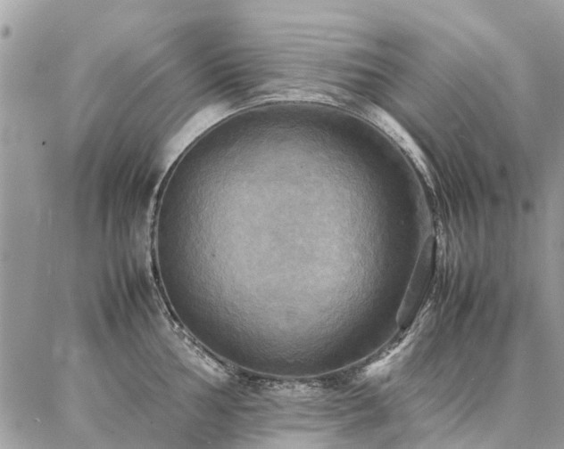 X0000086791002200704131235