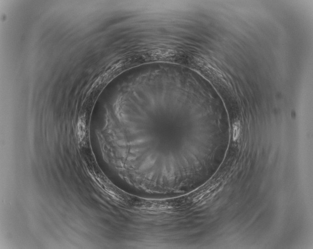 X0000086791011200704131234