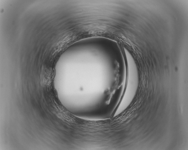 X0000086791012200704131234