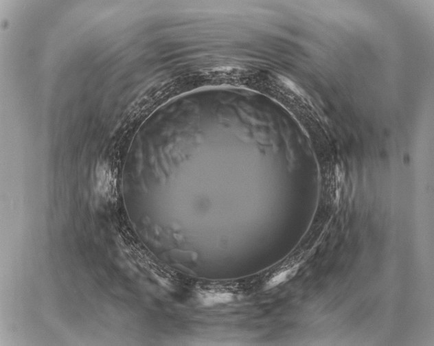 X0000086791013200704131234